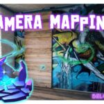 Camera Mapping