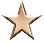 bronze star game art logo