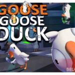 Goose Goose Duck art logo wallpaper game cover