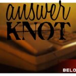 Answer Knot game art logo wallpaper poster cover