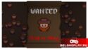 Игра на вечер - Wanted: Dead or Alive, найди бандита