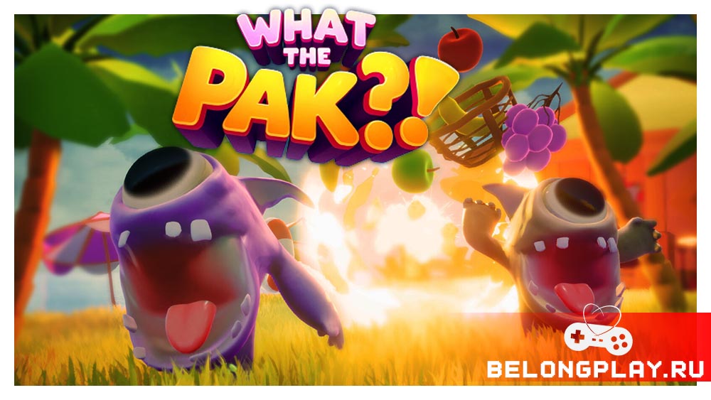 WHAT THE PAK?! game cover art logo wallpaper poster